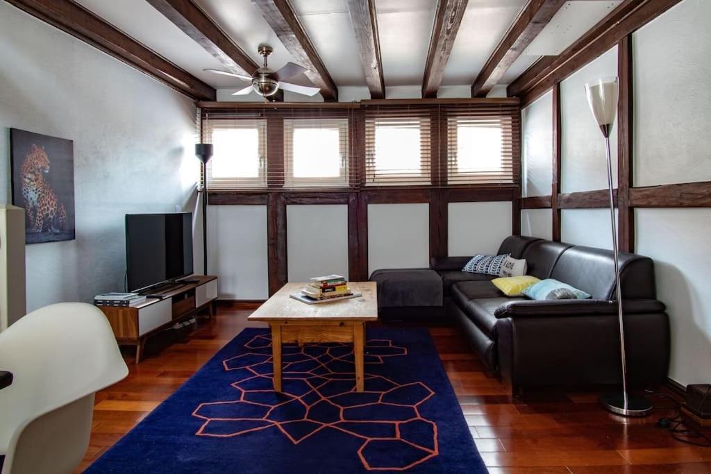 L'Or - Typical Alsacian Apartment In ستراسبورغ المظهر الخارجي الصورة